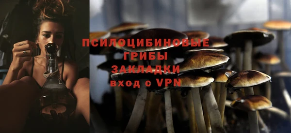 бошки Абдулино