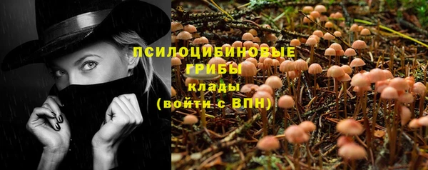 ECSTASY Абинск
